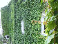 alte apotheke weitra 048  rechts seitlich muellraum und gartenraum mit holzlagermoeglichkeit