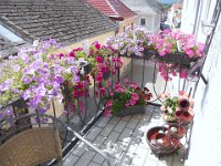 alte apotheke weitra 076  balkon